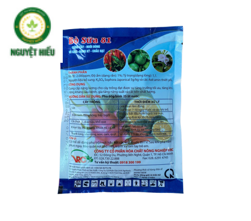 BÒ SỮA 81